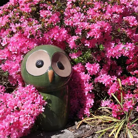 Mein Kleinhotel 酒店 赫比斯特恩