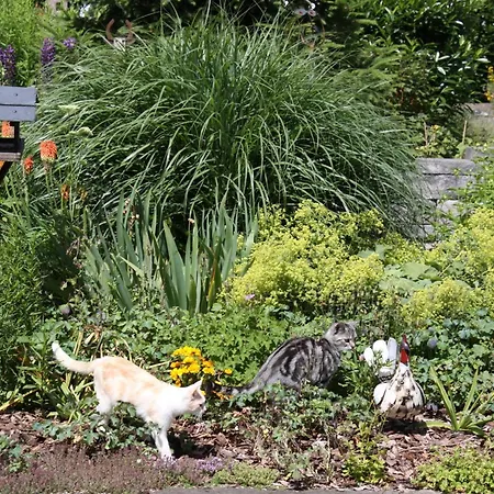 酒店 Mein Kleinhotel 赫比斯特恩