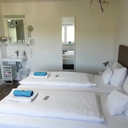Hotel Spatzennest Vogelsberg Herbstein