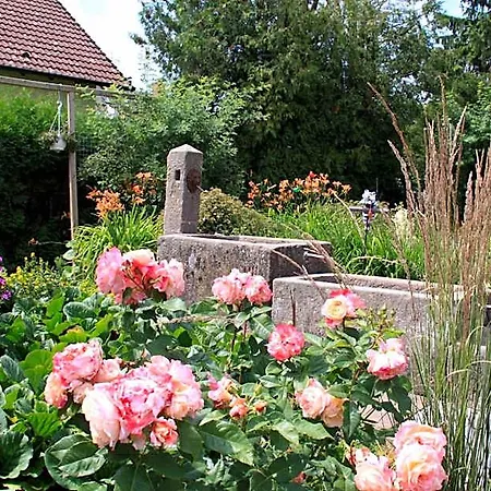 Spatzennest Vogelsberg