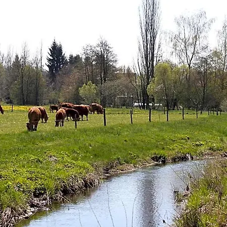 Spatzennest Vogelsberg Herbstein