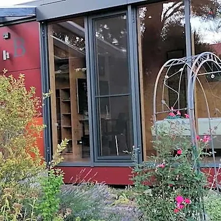 Spatzennest Vogelsberg