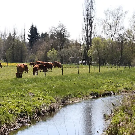 Spatzennest Vogelsberg Herbstein
