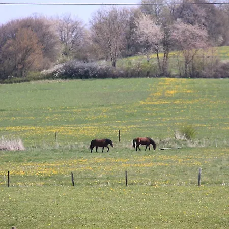 Mein Kleinhotel 酒店