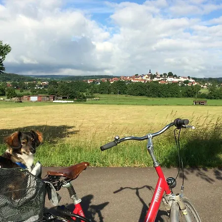 Mein Kleinhotel 酒店 3*