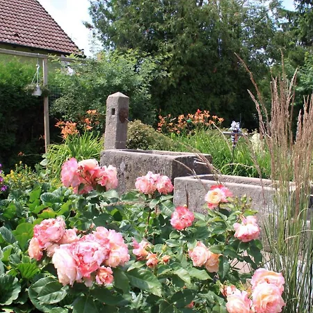 Spatzennest Vogelsberg 3*