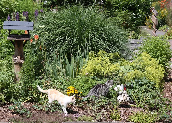 Hotel Mein Kleinhotel Herbstein