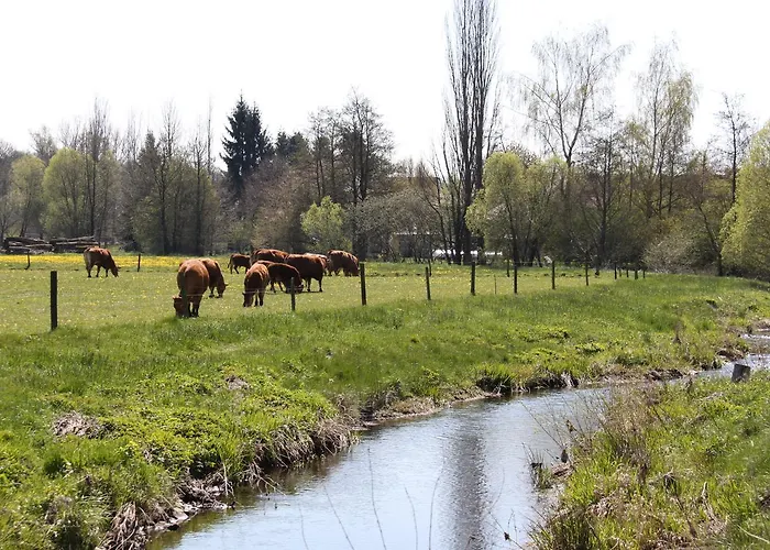 Mein Kleinhotel Herbstein